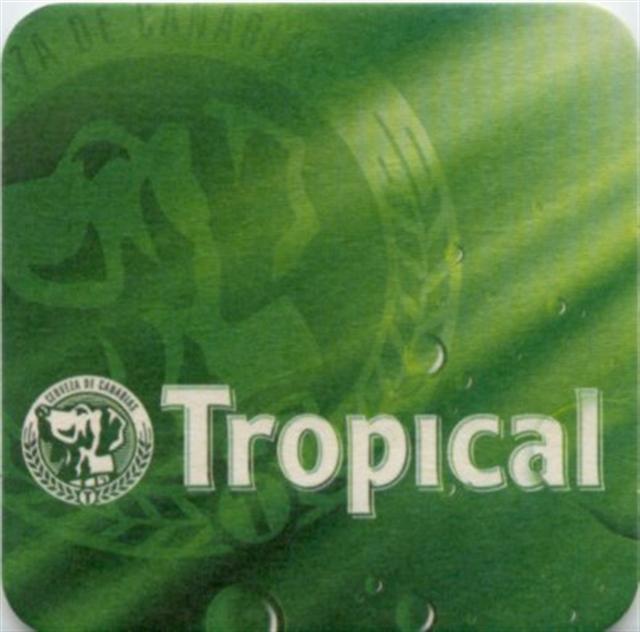 santa cruz ic-e ccc tropical quad 4-5a4bb (200-hg grün-logo links) 